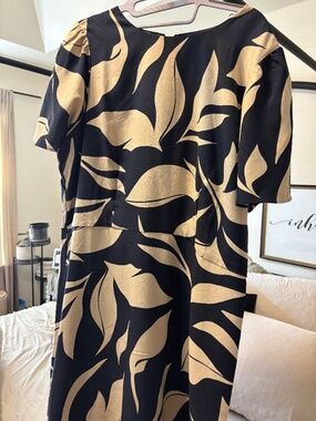 ann taylor crepe flare dress Ann Taylor Pleated Crepe Flare Dress Women's at Hamilton Place in  Chattanooga, TN